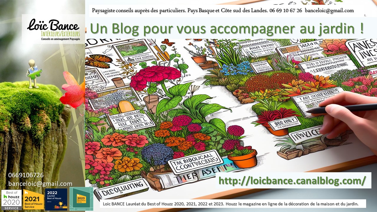 Paysagiste Anglet le Blog Jardin