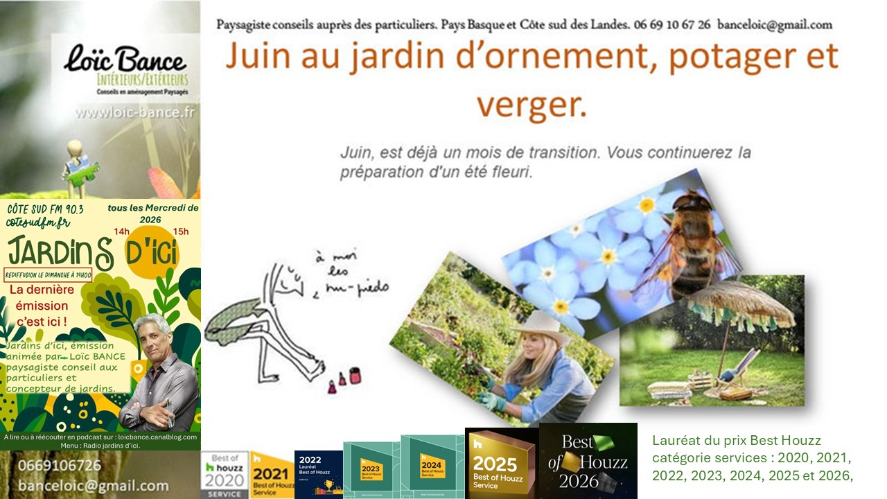 Les travaux de juin 2026 au jardin d'ornement, potager ou fruitier. Paysagiste Anglet