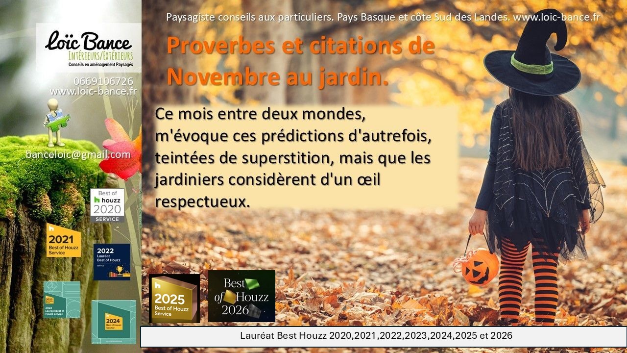 Paysagiste Anglet. Novembre en proverdes et citations au jardins.