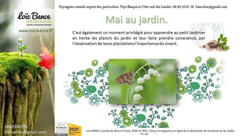 Les travaux du jardin en mai par Paysagiste Anglet